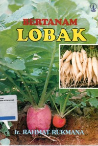 Bertanam Lobak
